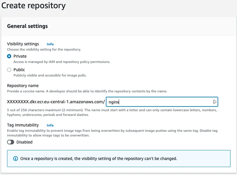 Amazon ECR and AWS networking configuration